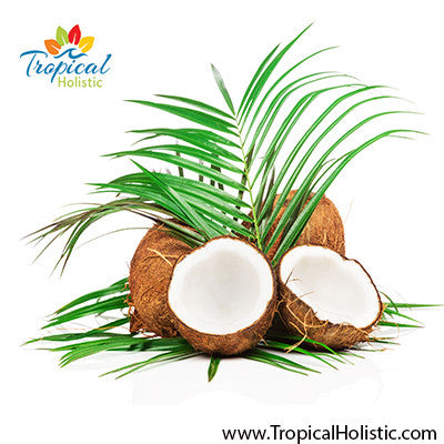 Benefits of Coconut Oil