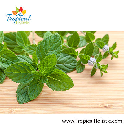 Peppermint Essential Oil